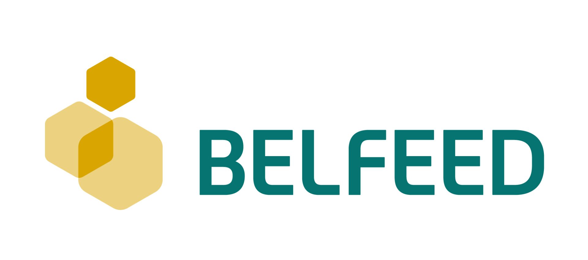 Belfeed logo